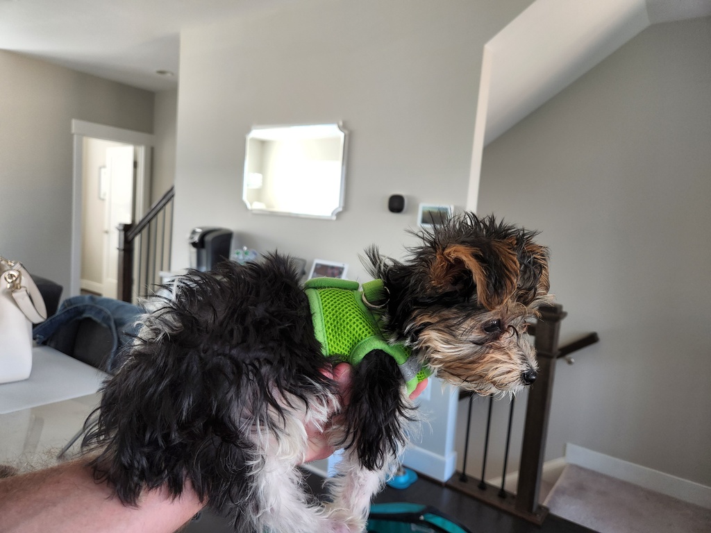 Wesley Kamichoff: images/20220809_172401_sm.jpg