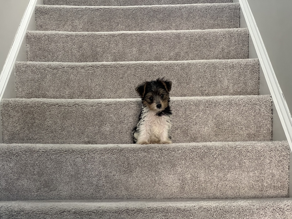 Wesley Kamichoff: images/IMG_335999.jpg