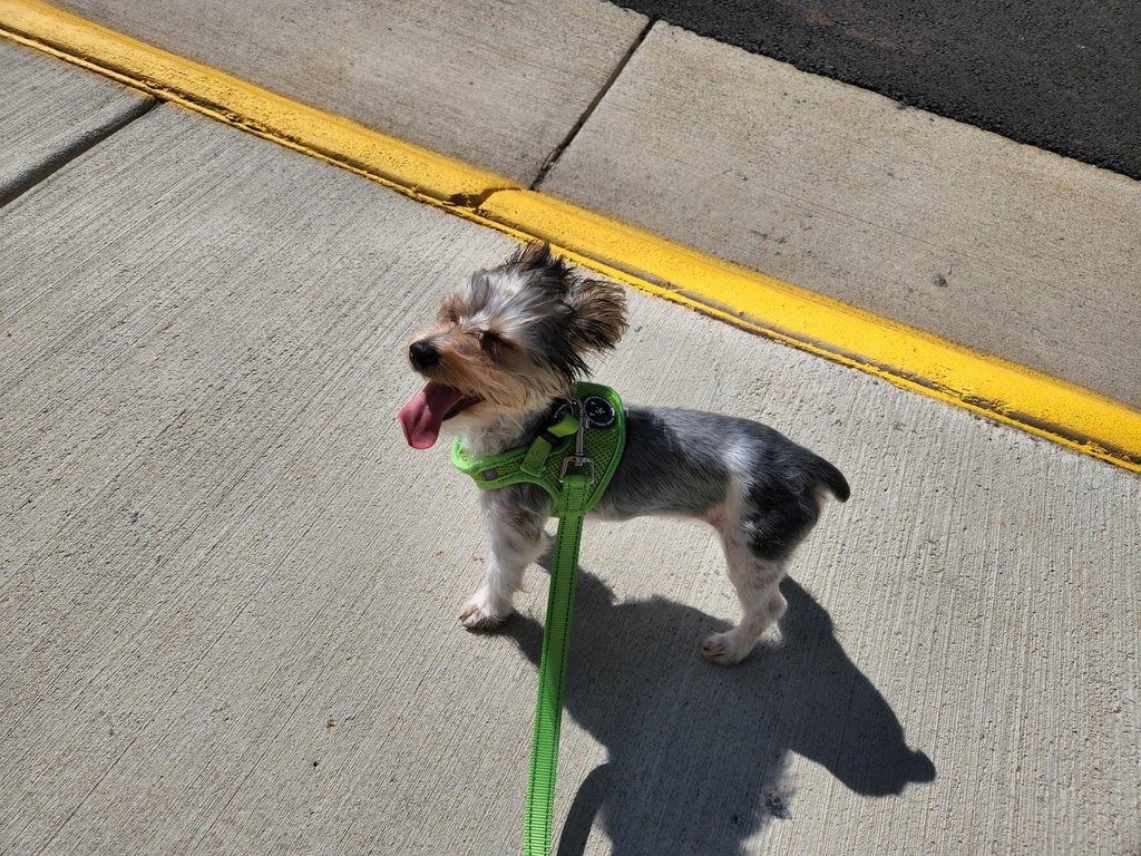 Wesley Kamichoff: images/signal-2022-09-23-202323_003.jpg